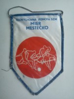 /album/mestecko/mestecko-tj-szm-mier-19-jpg/